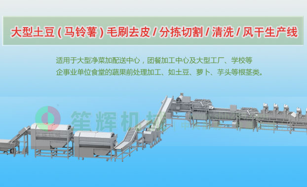 藁城连续式土豆去皮清洗切割风干生产线